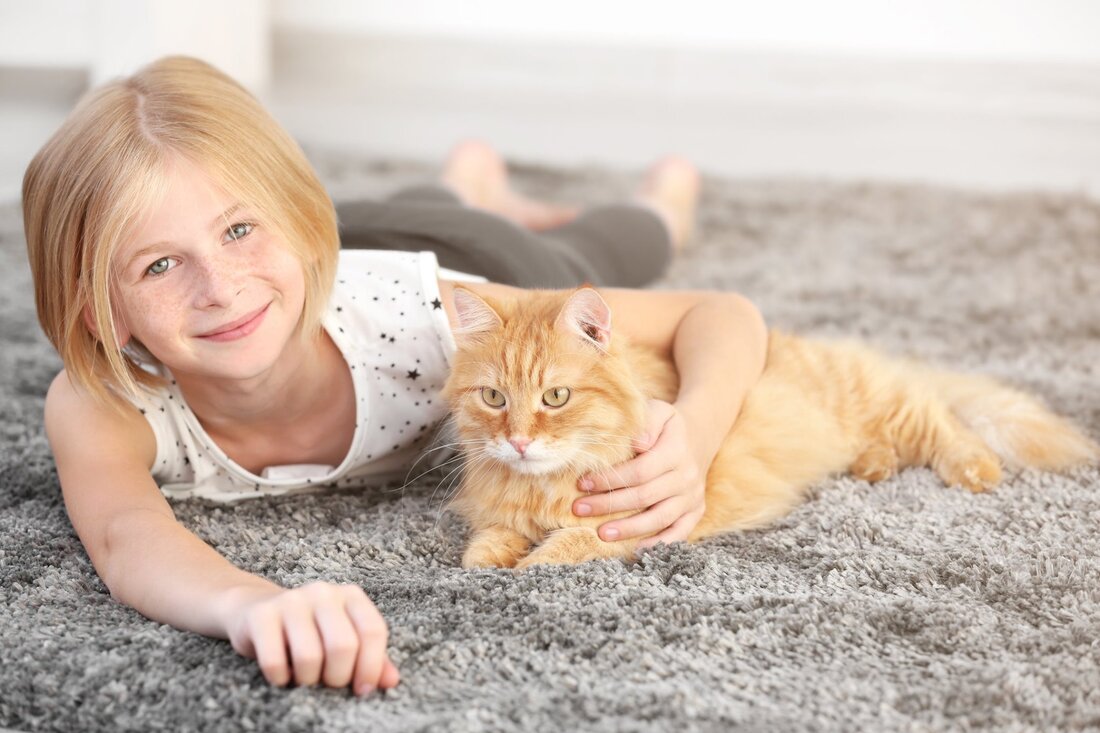 Child with Cat on New carpet